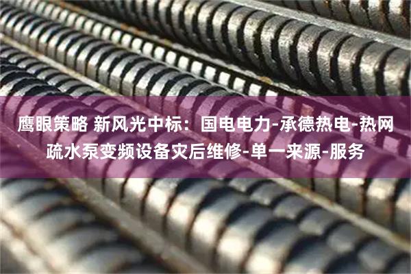 鹰眼策略 新风光中标：国电电力-承德热电-热网疏水泵变频设备灾后维修-单一来源-服务