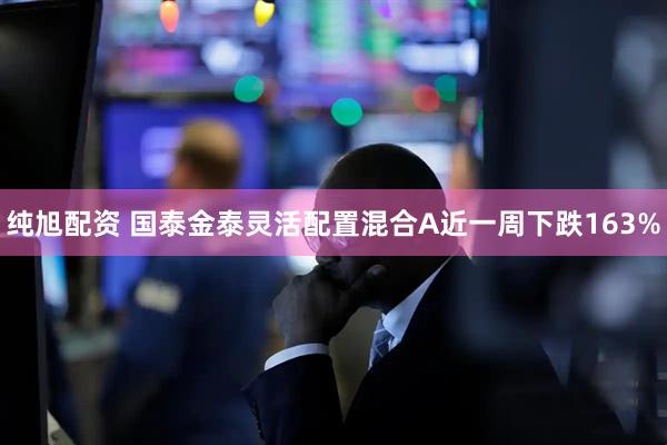 纯旭配资 国泰金泰灵活配置混合A近一周下跌163%