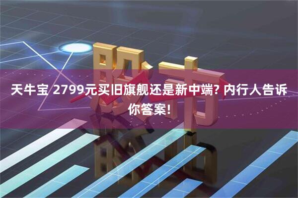 天牛宝 2799元买旧旗舰还是新中端? 内行人告诉你答案!