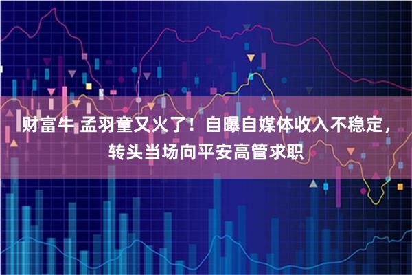 财富牛 孟羽童又火了！自曝自媒体收入不稳定，转头当场向平安高管求职